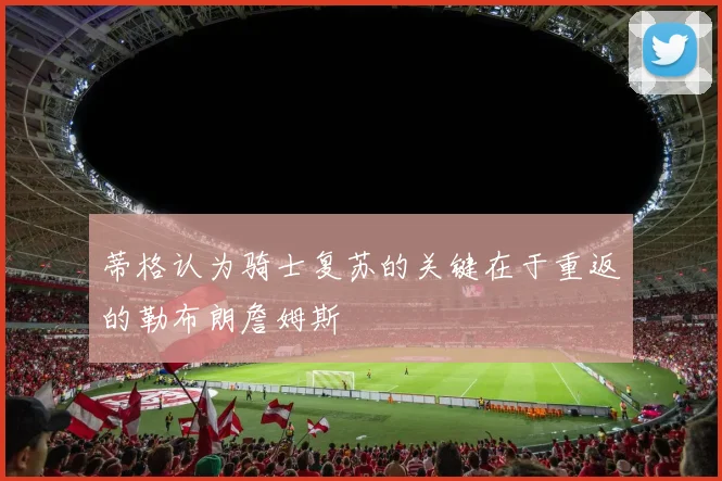 蒂格认为骑士复苏的关键在于重返的勒布朗詹姆斯